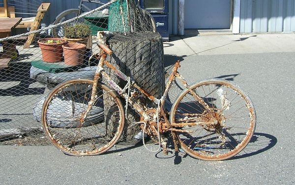 rustybike1.jpg