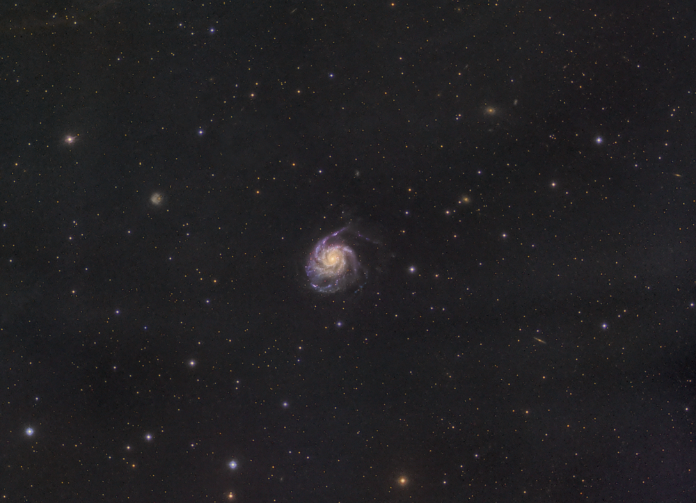 M101_web_1.png