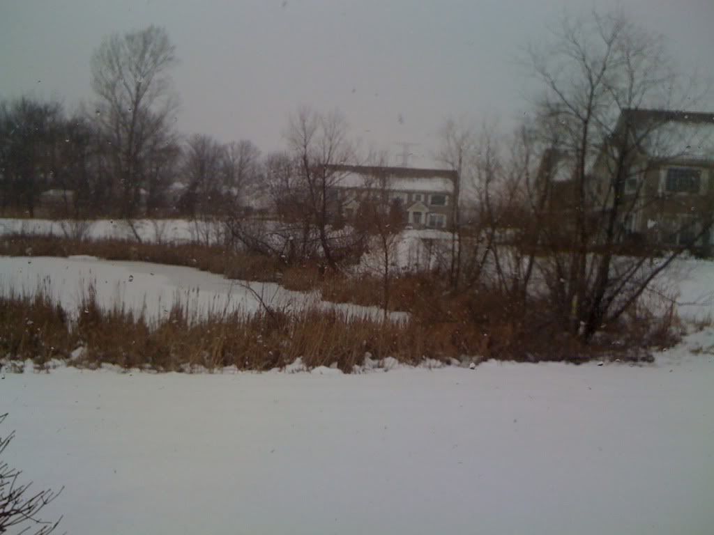 IMG_0302.jpg