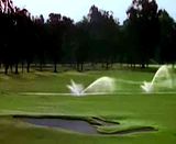 funny viedos. video by golfcoursesgolf