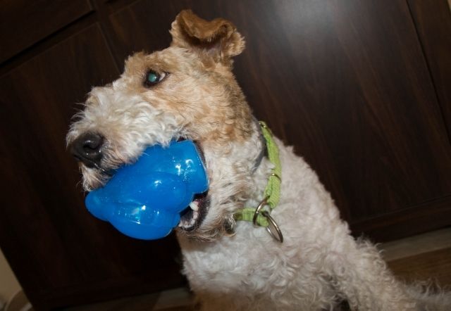 41324ddf-ad46-40a9-bb84-ba5444e15c8e_zps