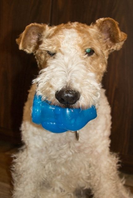 7b84eb9e-3c75-40e6-adae-8baaebe7b6ac_zps