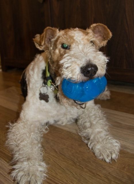 ac632691-d331-4f42-9fdf-0b2d02e8ee24_zps