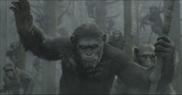 Prvý obrázok Caesara z Dawn of the Planet of the Apes