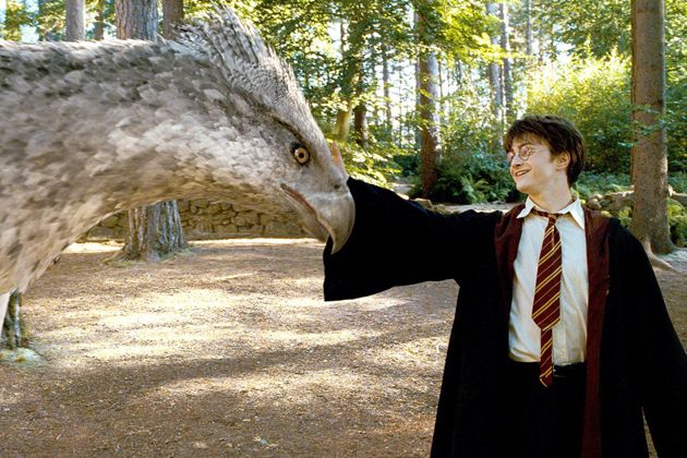Kedy príde ďalší film zo sveta Harryho Pottera?