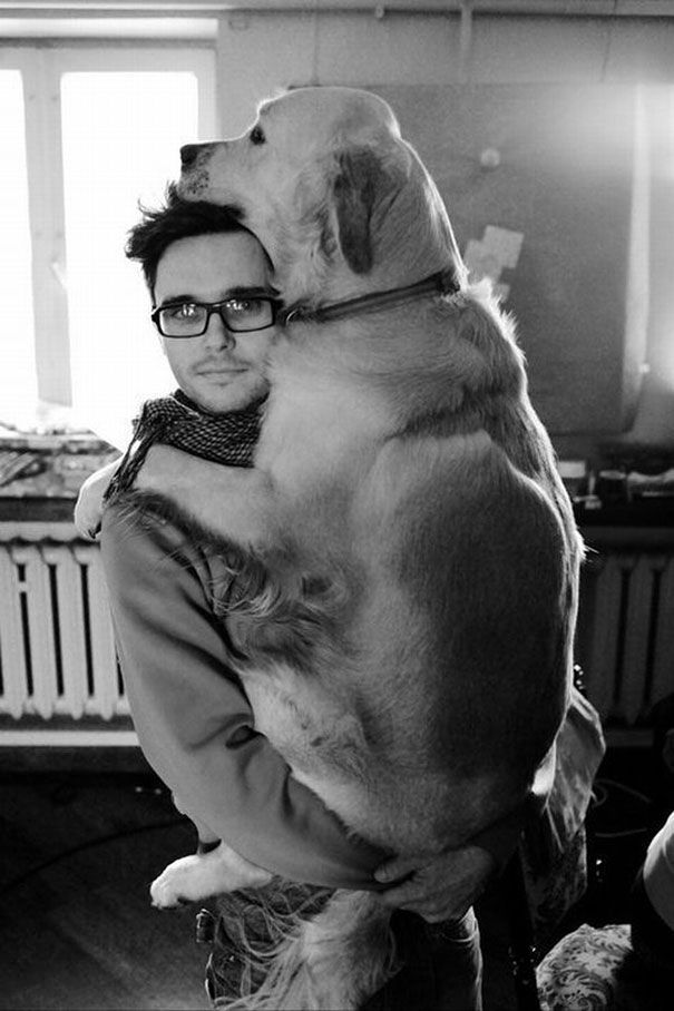 Objatia plné lásky alebo ako milujú psíkovia svojich majiteľov