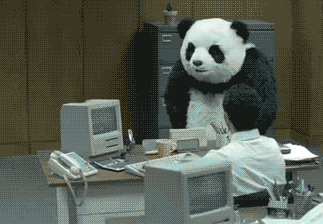 1330634325148.gif