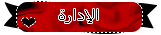 Admin Admin