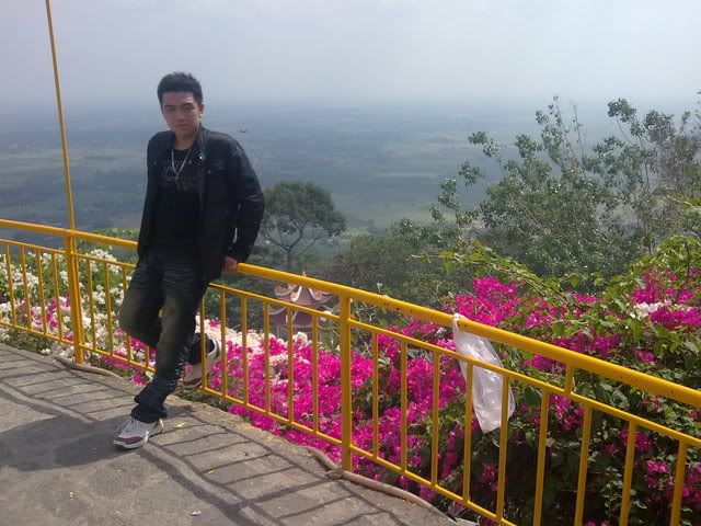 Hình ảnh