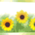 photo 113877_th.gif