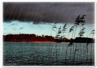  photo anhdepblogcom-rain6.gif