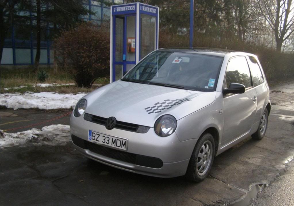 Lupo3.jpg