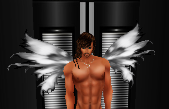  photo SR MENS FAIRY WINGS LG_zpsbxpizqwp.png