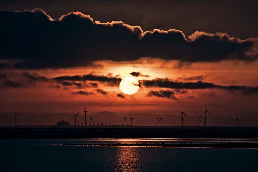 Fotografie