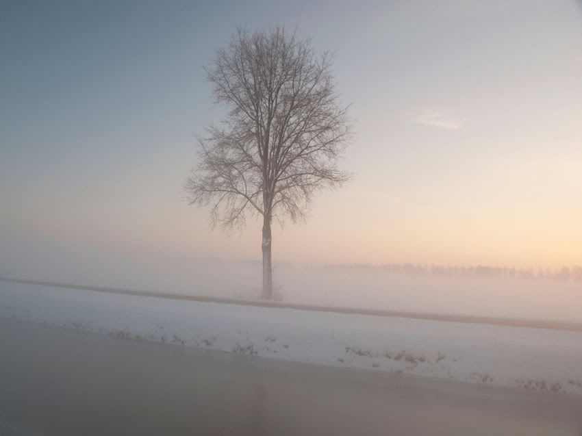 Fotografie