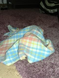 20120225Tarnkatze2.jpg