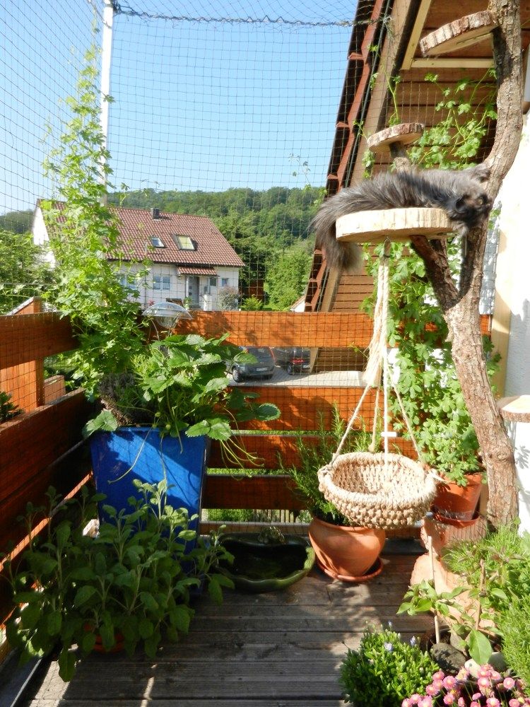 20120528Balkon10.jpg