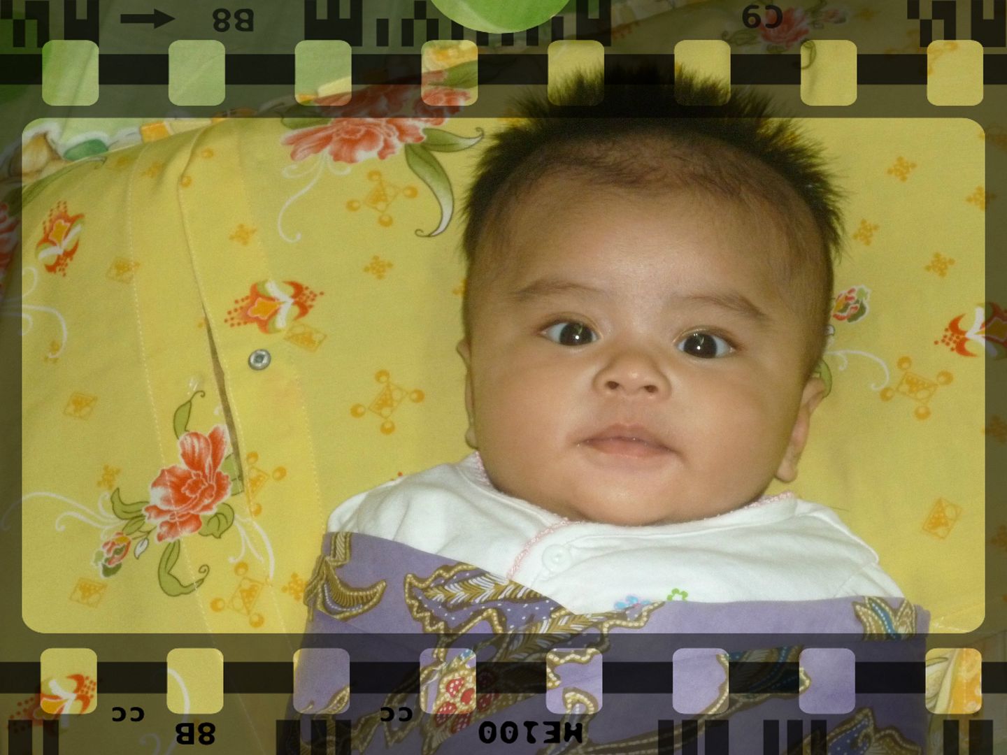 P1000511_zps77315aaac0