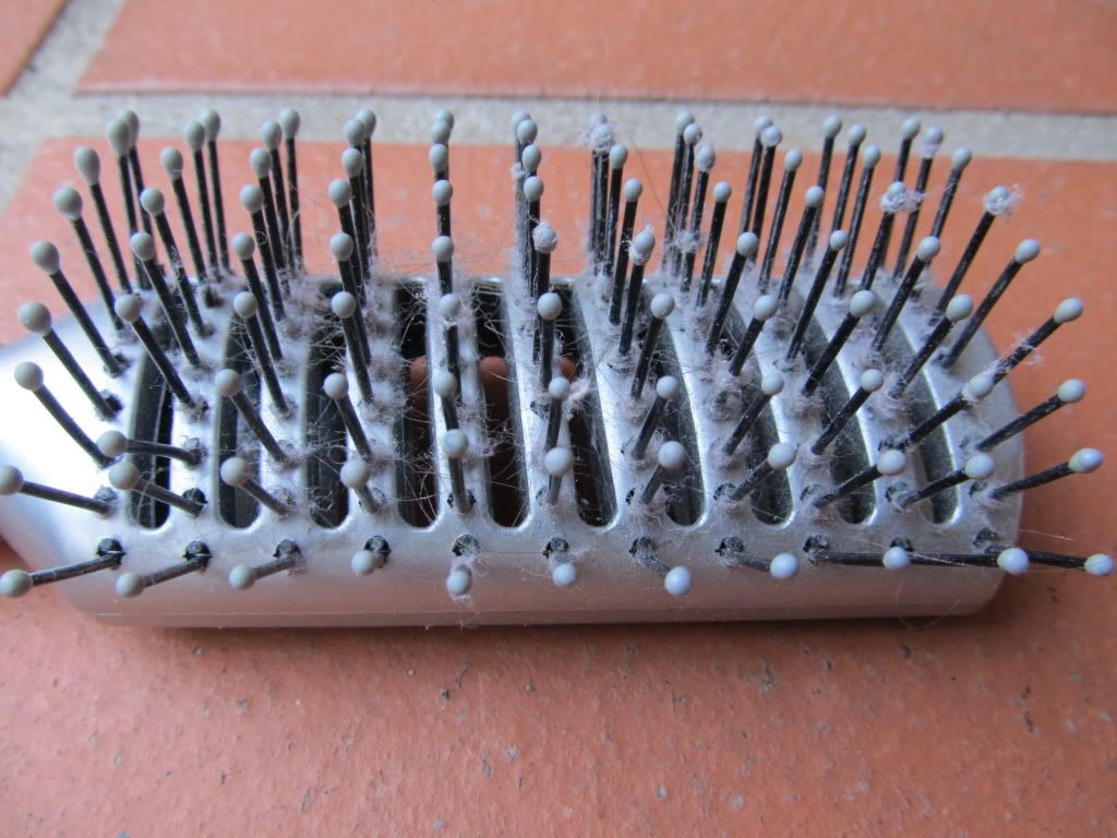 How 2 stop or remove dust from hairbrush Cleaning discussion