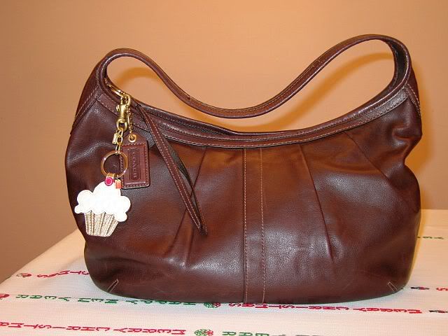 coach hobo ergo-1