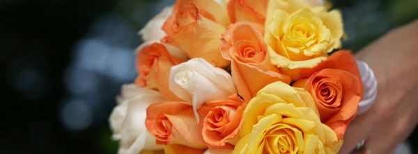 Weddings by Rev. Doug Klukken- Northwest Indiana Wedding Officiant