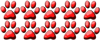 <b>Przywódca</b> <b>Przywódca</b>