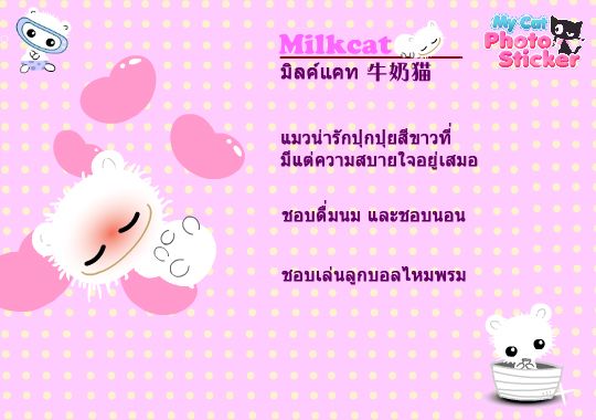 Milkcatintroduction_Thai_zps1790d22e.jpg
