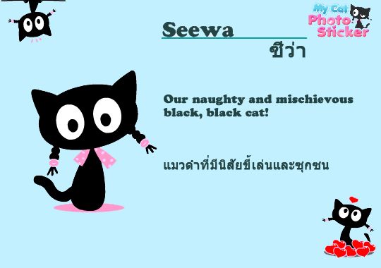 Seewa_Thai_zpsd816d5f9.jpg