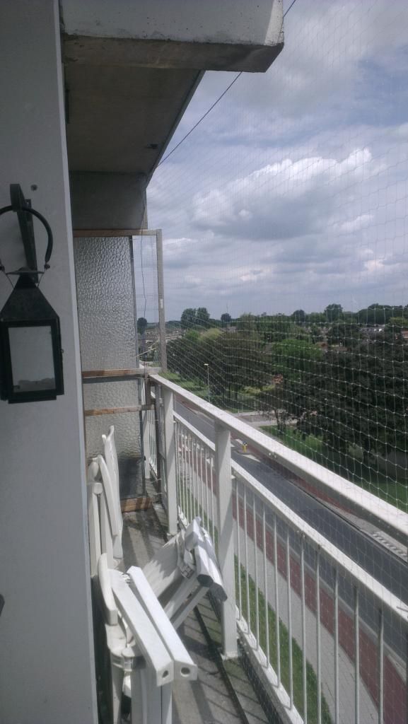 2014-06-21130323.jpg