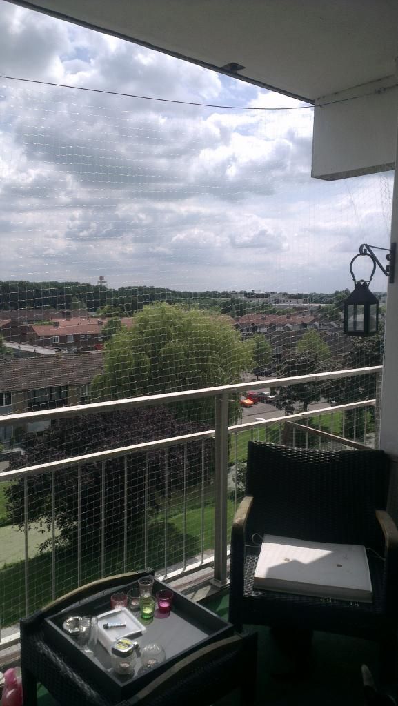 2014-06-21130352.jpg