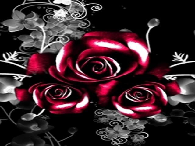 Roses_26.jpg