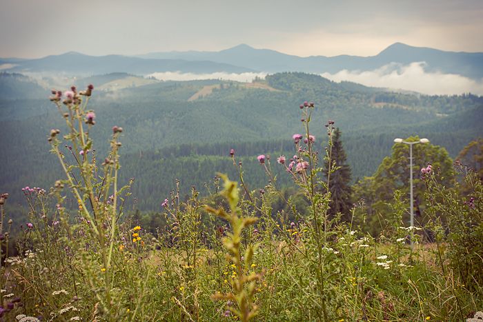 Авто-трип на Карпаты Photobucket