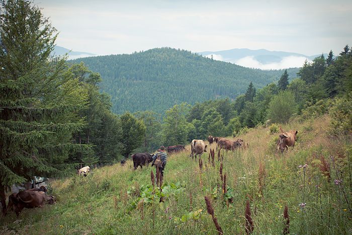 Авто-трип на Карпаты Photobucket