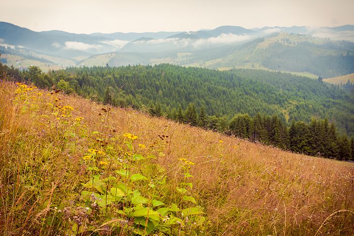 Авто-трип на Карпаты Photobucket