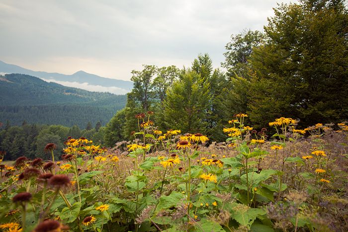 Авто-трип на Карпаты Photobucket