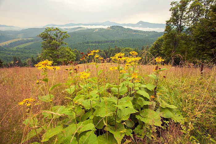 Авто-трип на Карпаты Photobucket