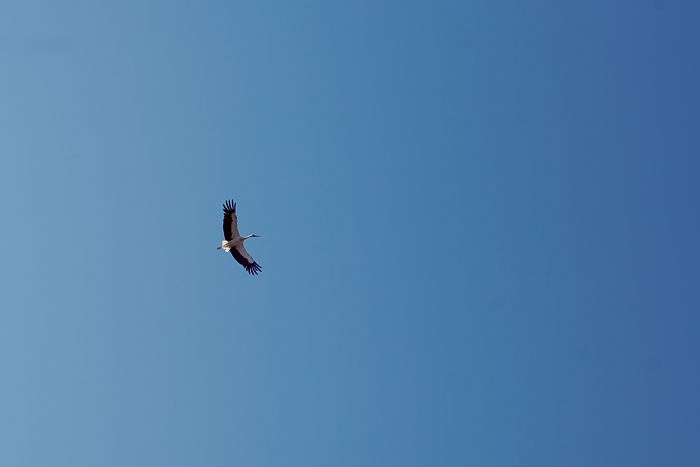 Авто-трип на Карпаты Photobucket