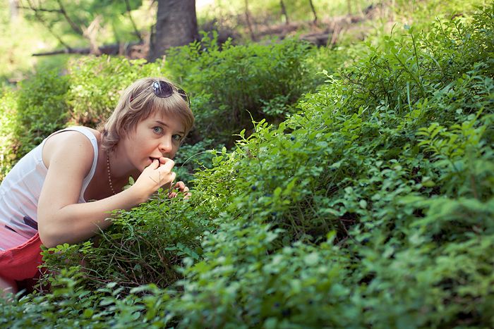 Авто-трип на Карпаты Photobucket