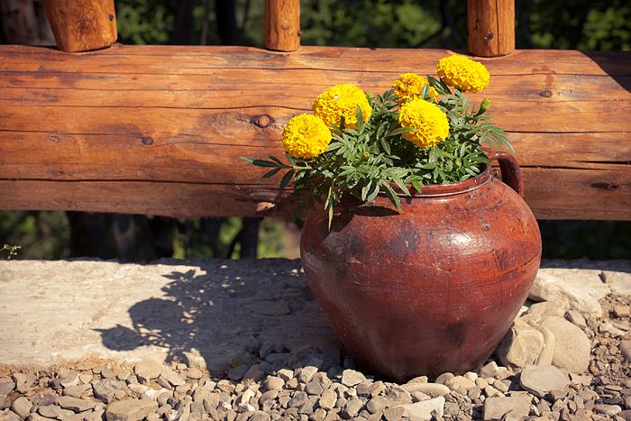 Авто-трип на Карпаты Photobucket