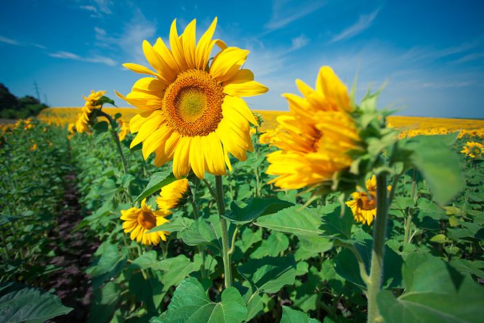 Авто-трип на Карпаты Photobucket