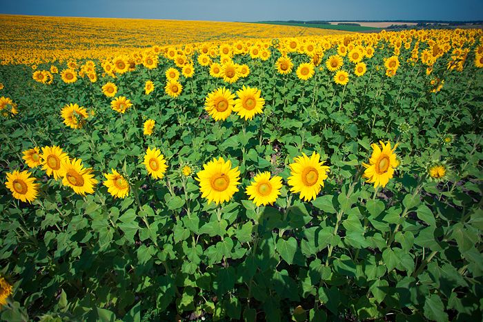 Авто-трип на Карпаты Photobucket