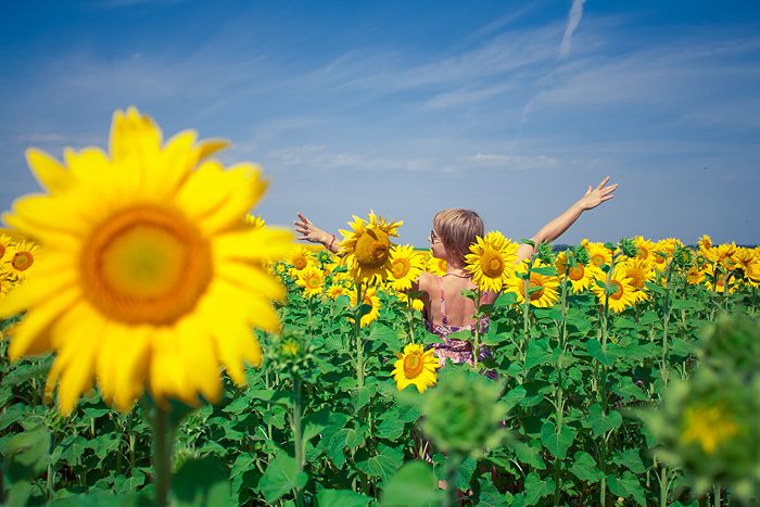 Авто-трип на Карпаты Photobucket