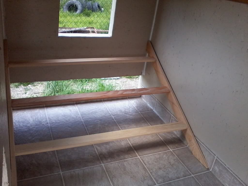 Coop Build - BackYard Chickens Community