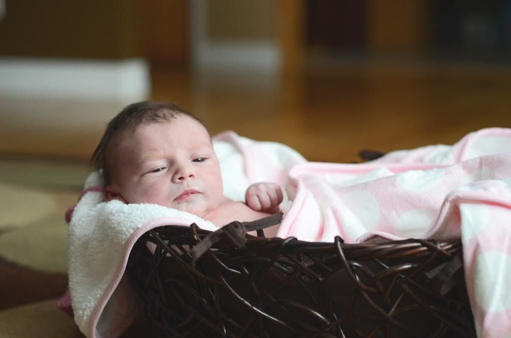 newborn photography baby girl