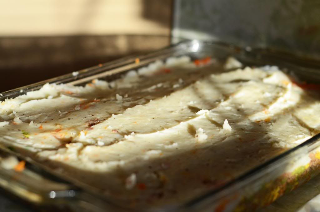 food photography shepards pie