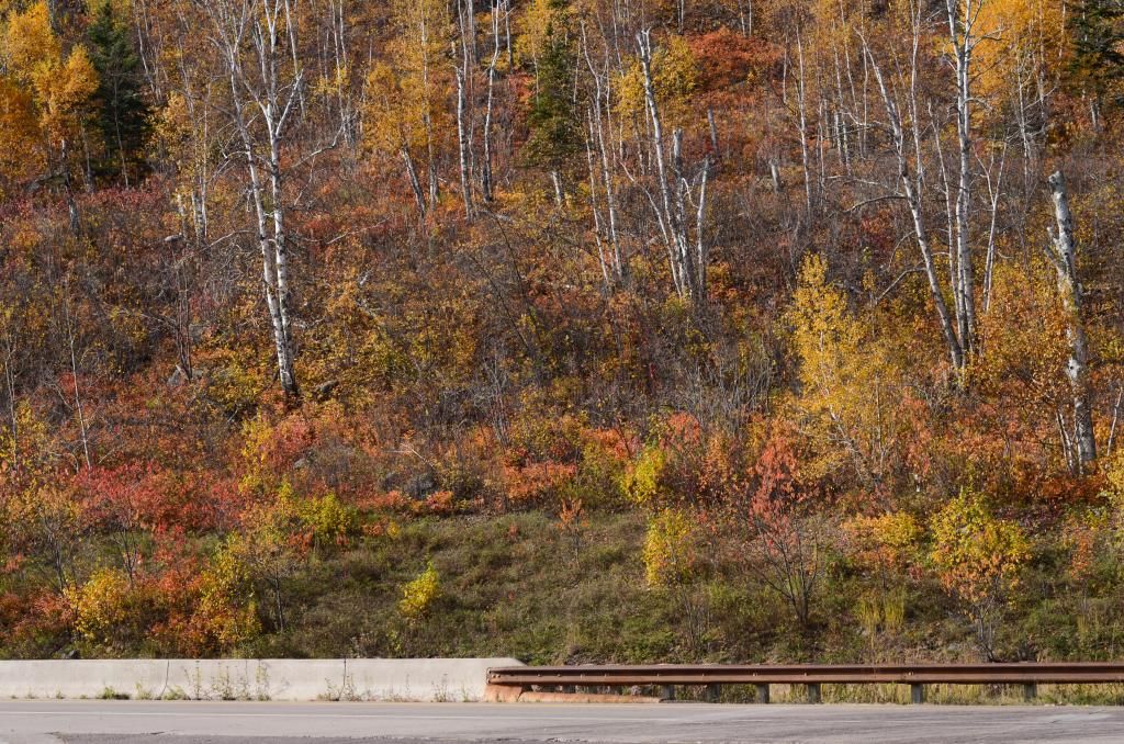 lake superior minnesota nature photography