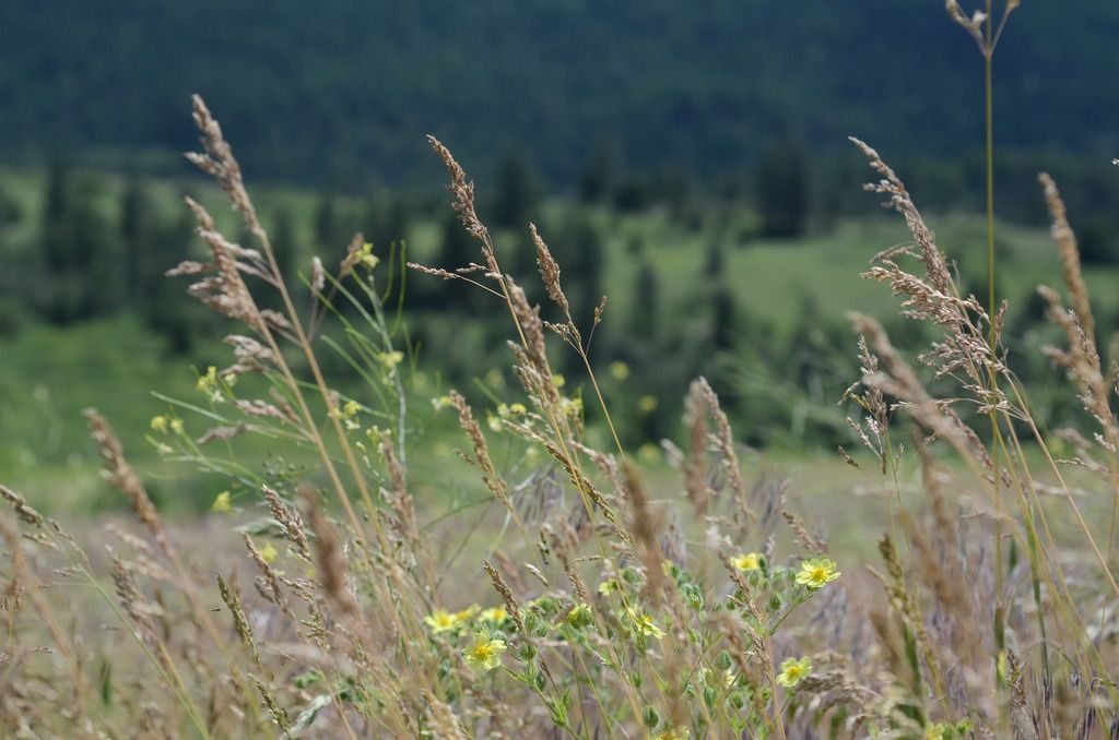 kalamalka lake provincial park vernon british columbia