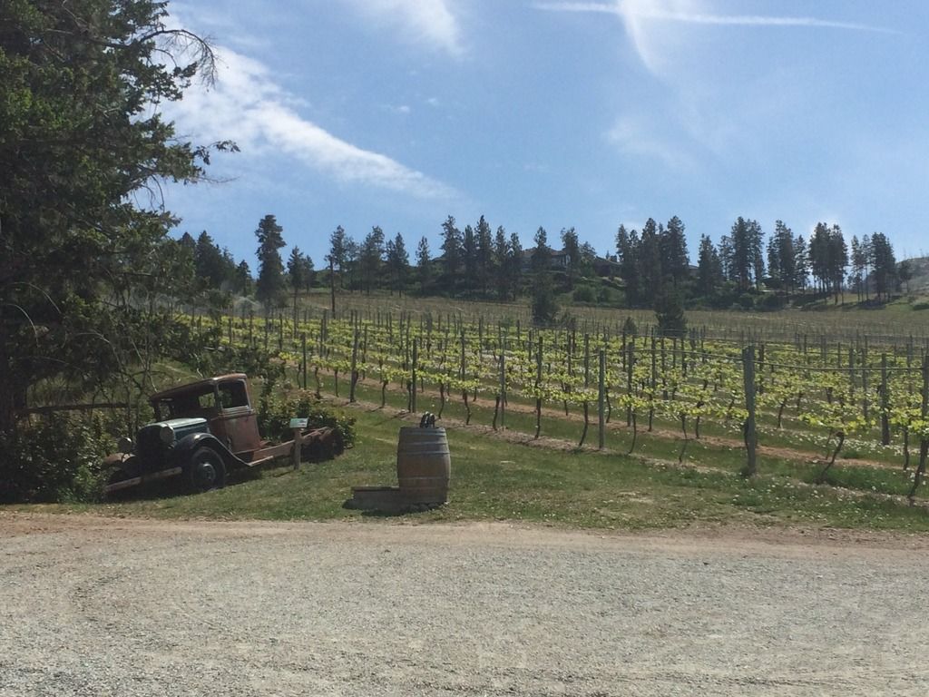 kelowna wine tour