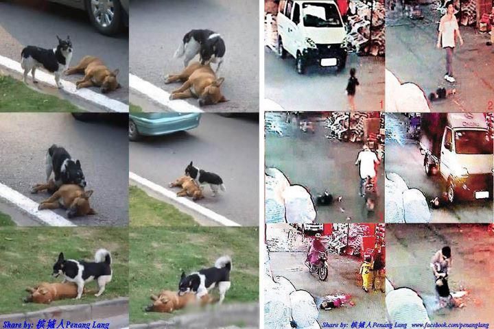 Chỉ 1 tấm hình thôi.............