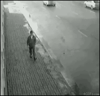 51425.gif